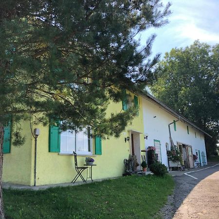 Weiher 1 Villa Rot an der Rot ภายนอก รูปภาพ